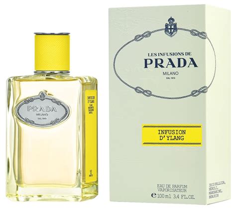 prada infusion d ylang|Prada infusion d ylang review.